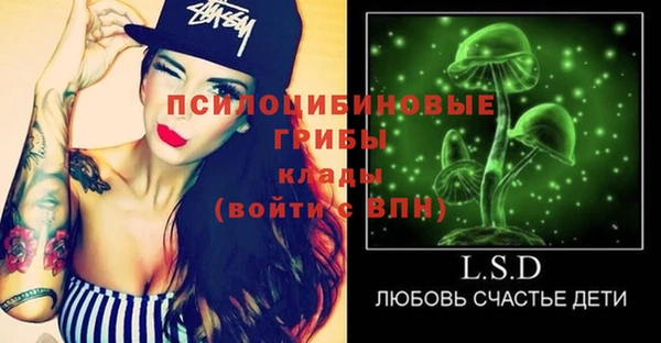 сатива Бугульма