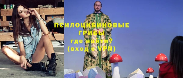 сатива Бугульма